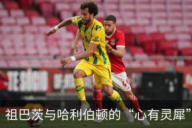 祖巴茨与哈利伯顿的“心有灵犀”，步行者能否飞得更高？
